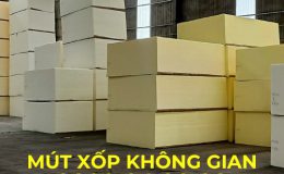 Mút tiêu âm hột gà